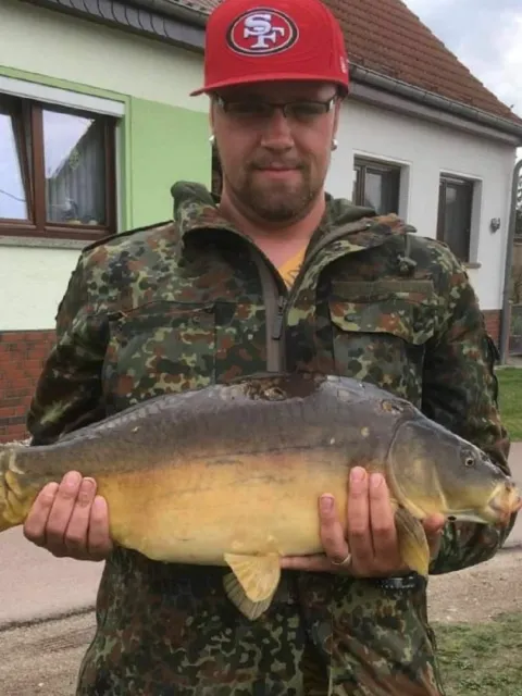 Karpfen