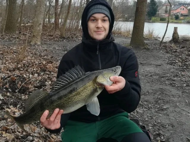 Zander