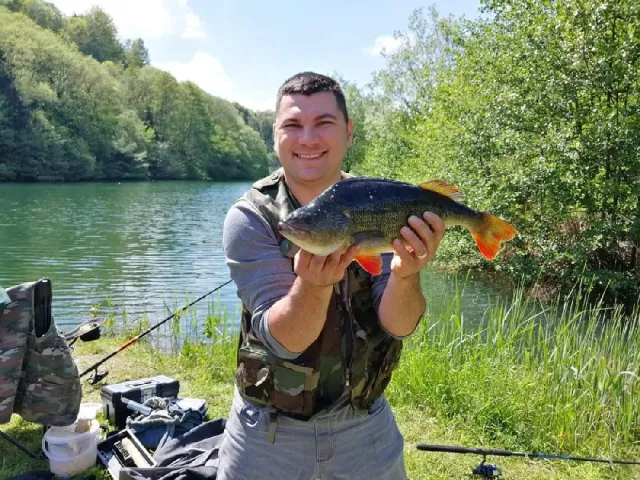 Flussbarsch