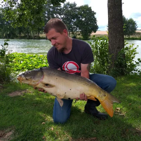 Karpfen