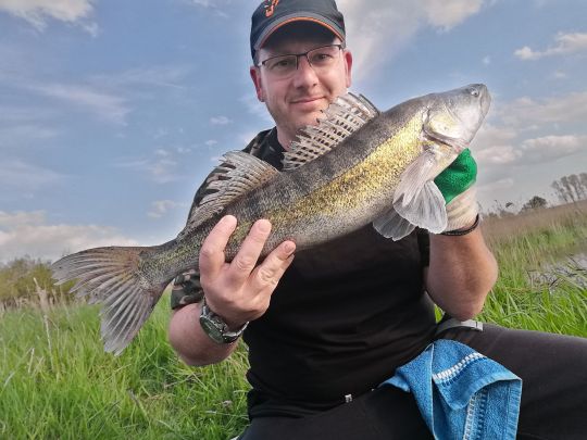 Zander