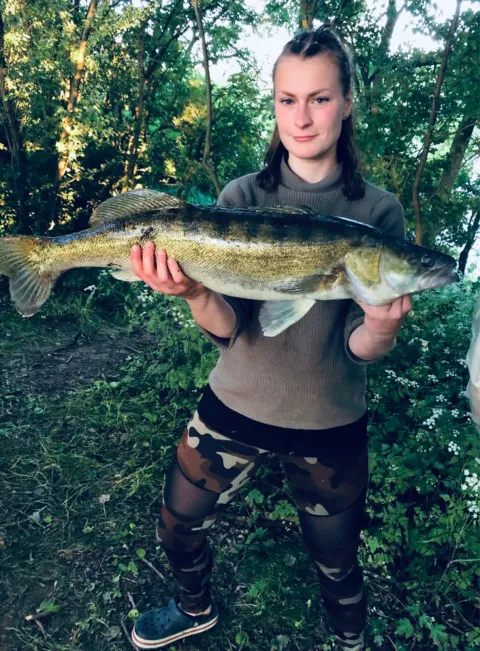 Zander