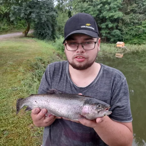 Regenbogenforelle