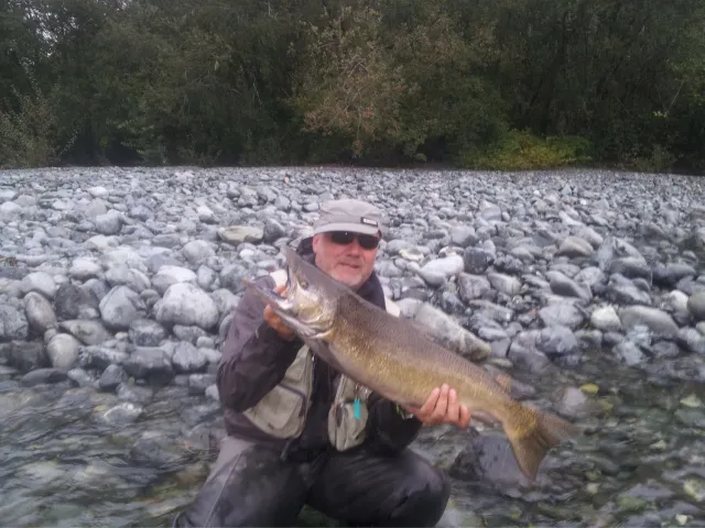 Lachs