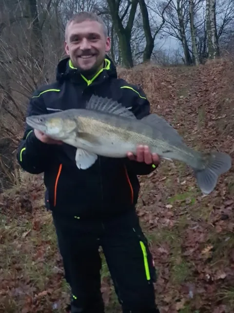 Zander