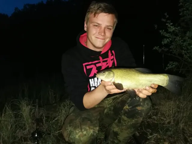 Schleie