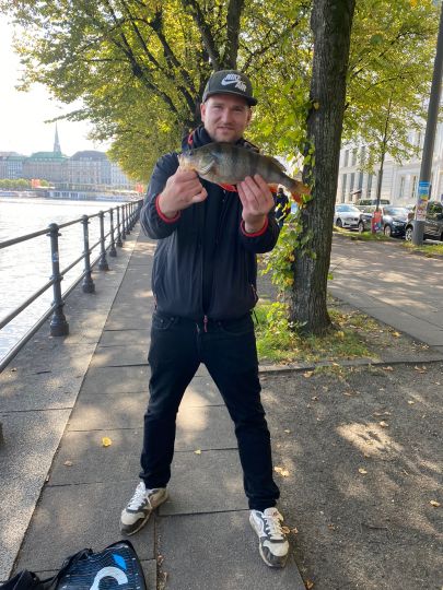 Flussbarsch