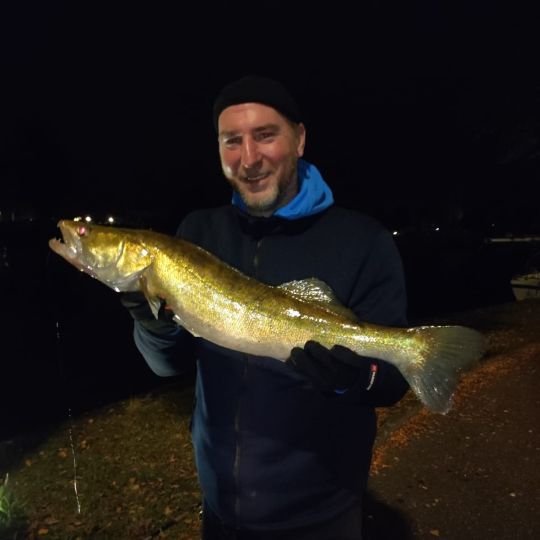 Zander