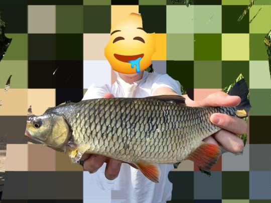 Döbel