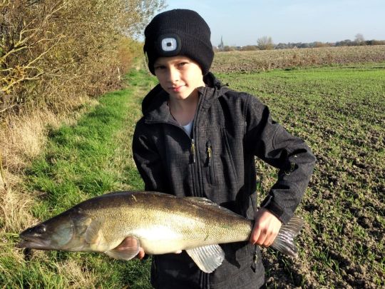 Zander