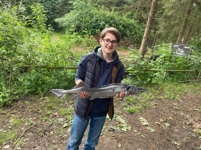 Stör