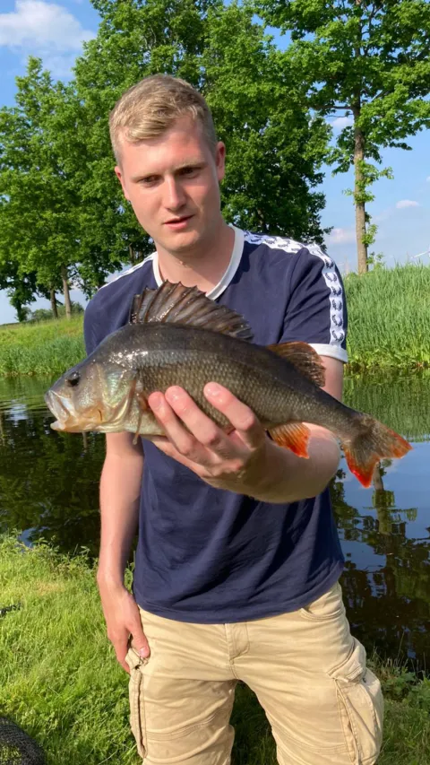 Flussbarsch