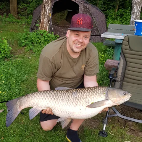 Graskarpfen