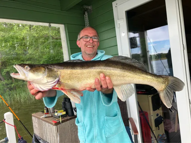 Zander
