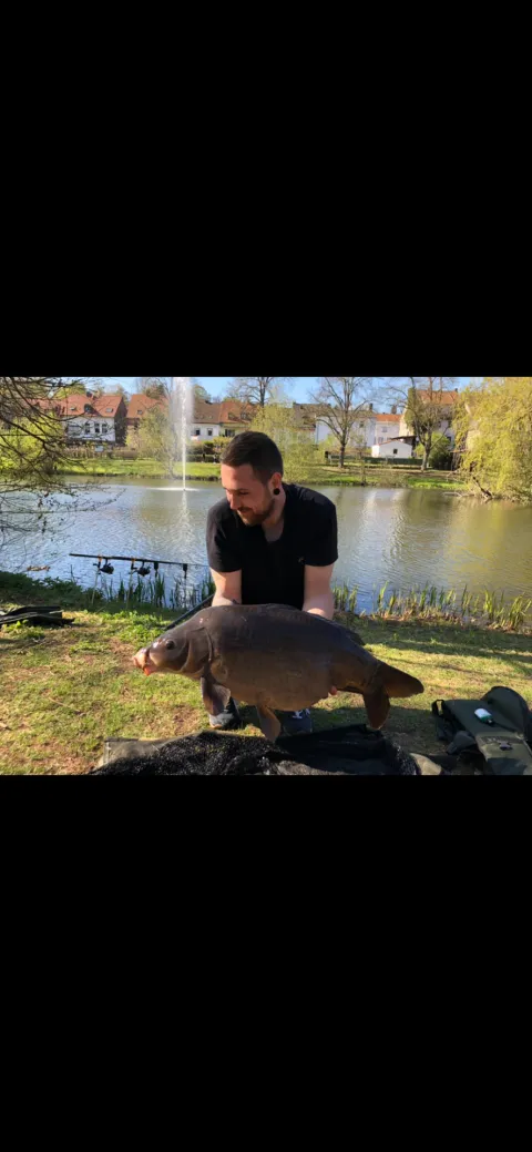 Karpfen