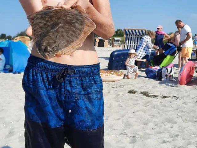 Flunder