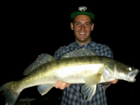 Zander