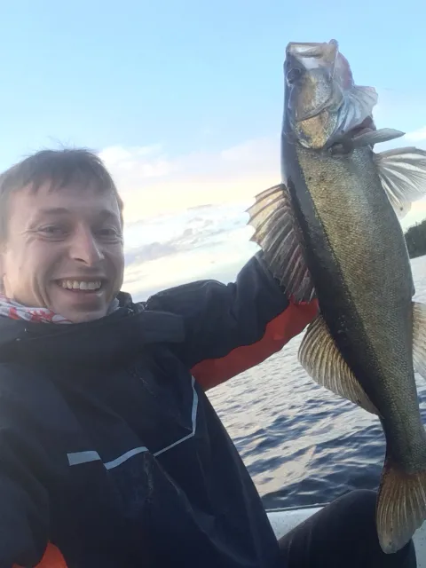 Zander