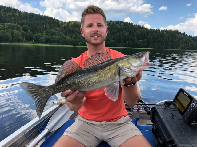 Zander