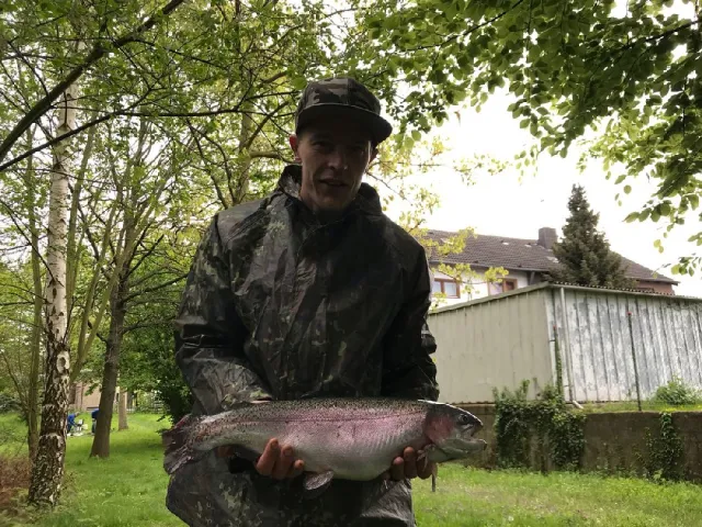 Regenbogenforelle