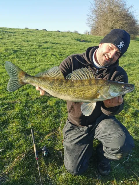 Zander