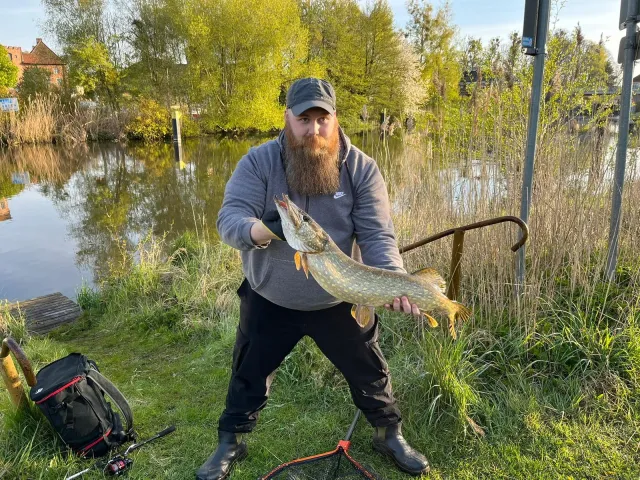 Hecht