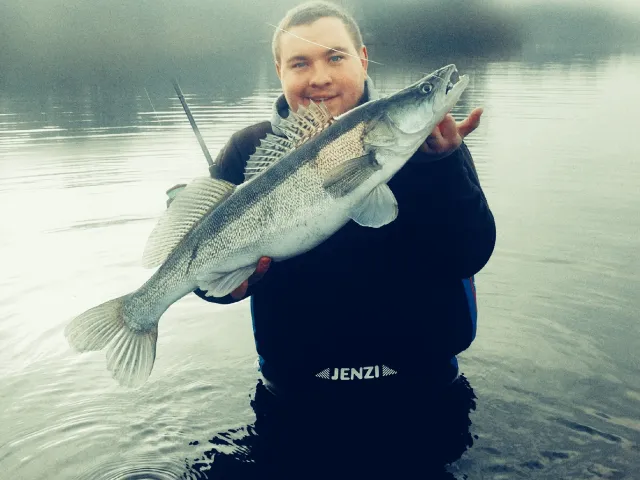 Zander