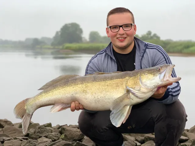 Zander