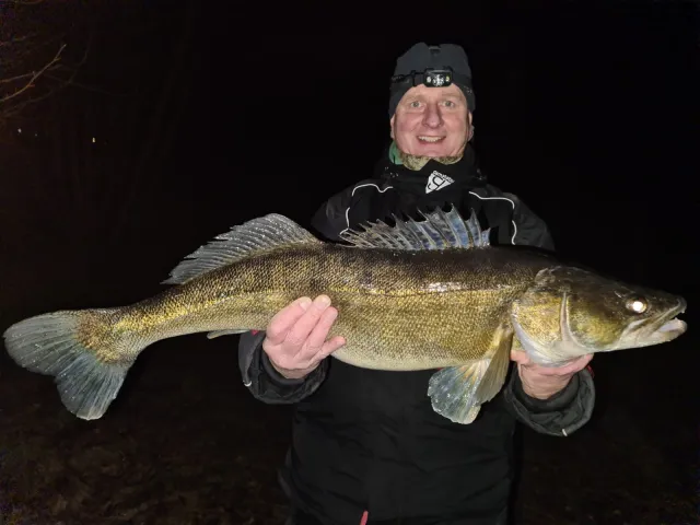 Zander