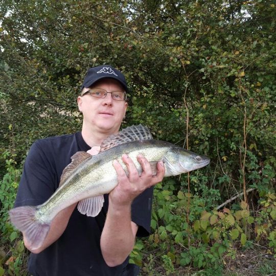 Zander