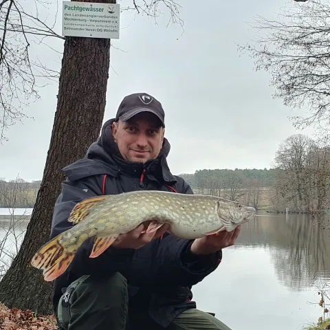 Hecht
