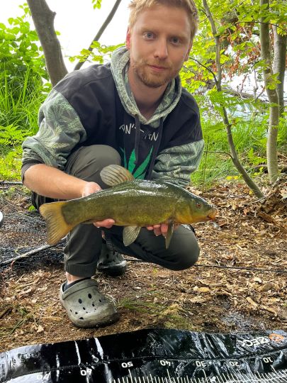 Giesenschlagsee (Mirow) ALLE ANGELN