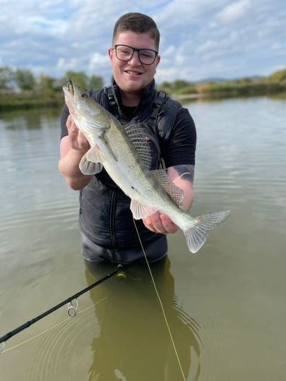 Zander