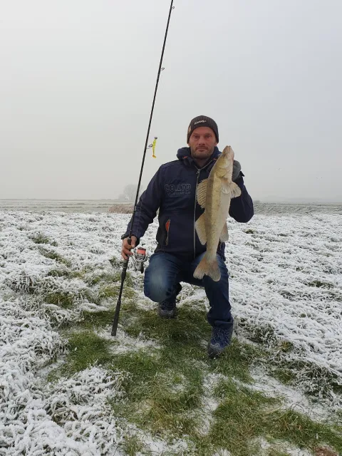 Zander