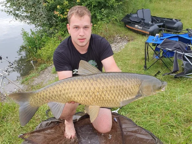 Graskarpfen