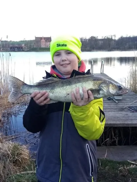 Zander