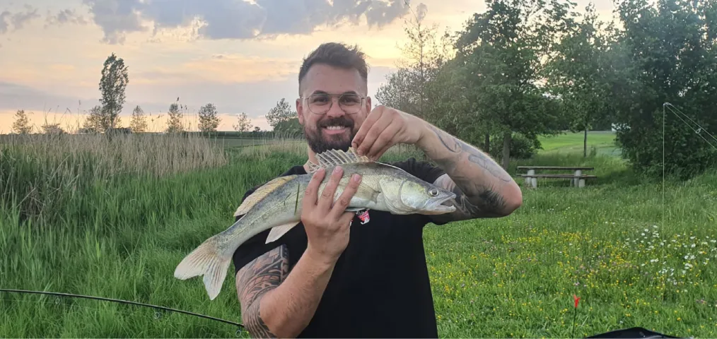 Zander