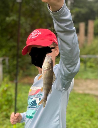 Flussbarsch