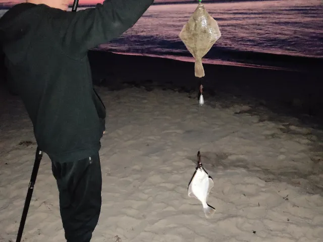 Flunder