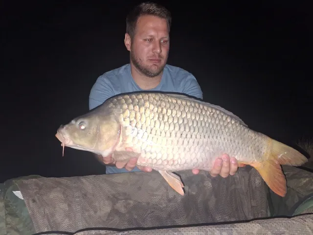 Karpfen