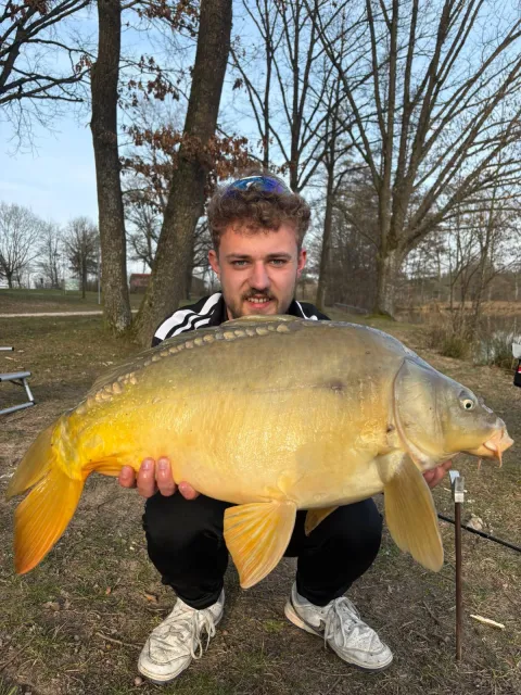 Karpfen