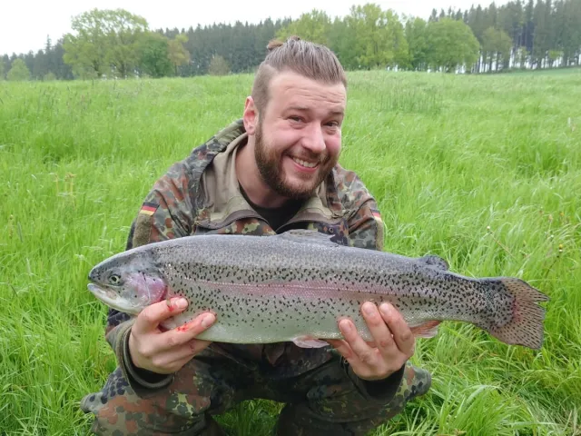Regenbogenforelle