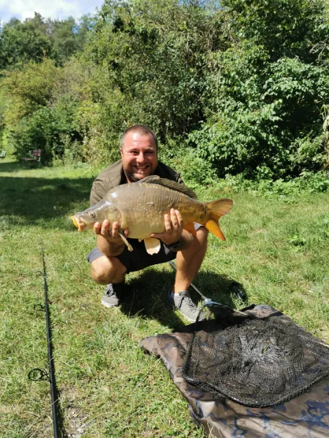 Karpfen