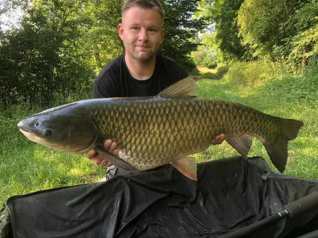 Graskarpfen
