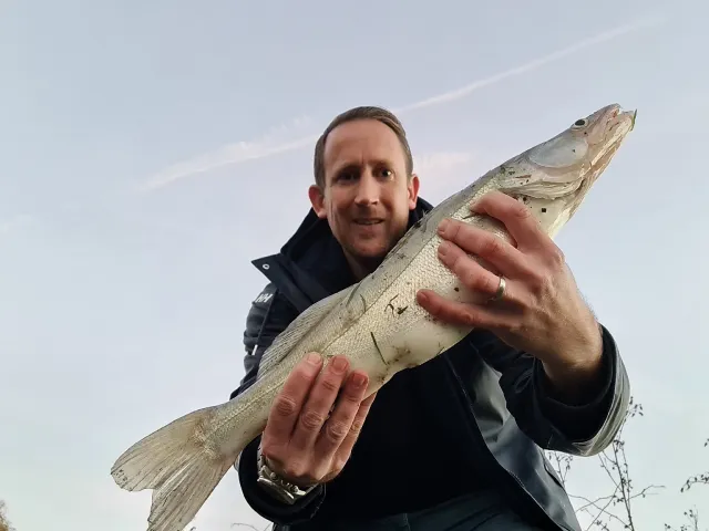 Zander