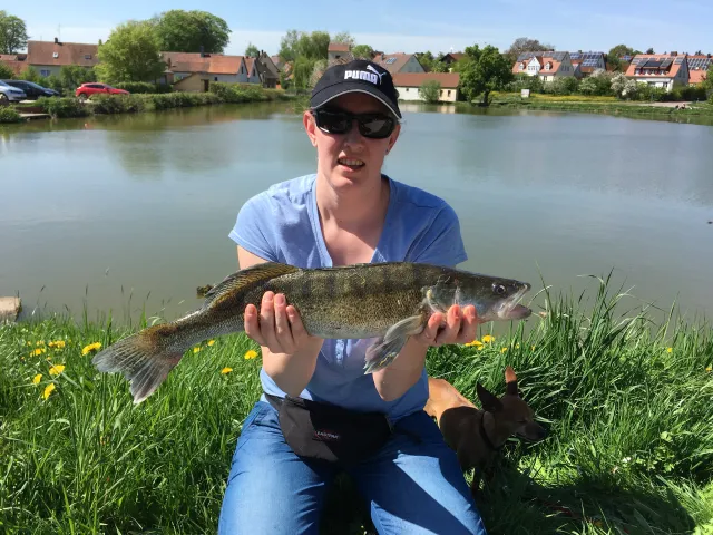 Zander