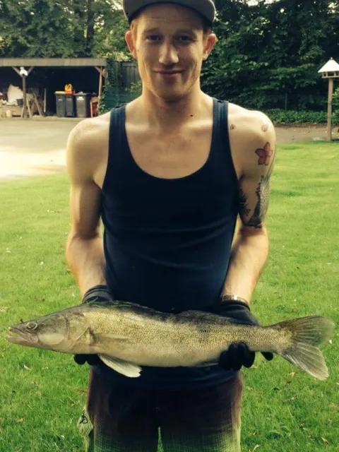 Zander