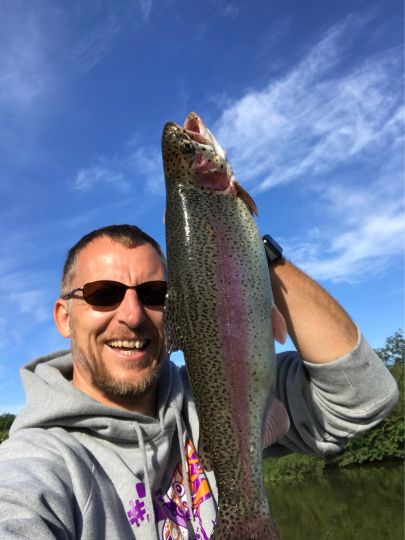 Regenbogenforelle