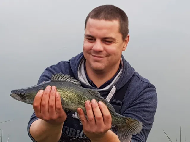 Zander