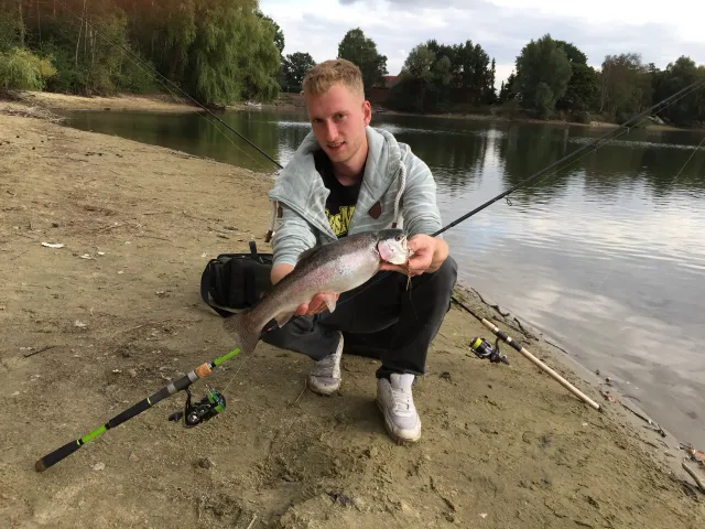Regenbogenforelle